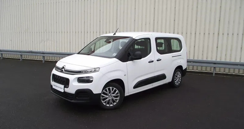 samochody osobowe Citroen Berlingo cena 61900 przebieg: 139836, rok produkcji 2019 z Biecz